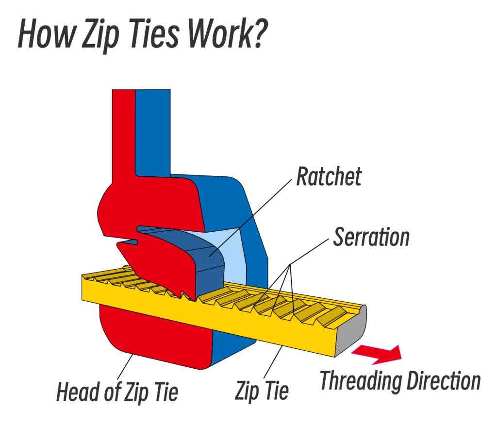 Locking Mechanism of Zip Ties