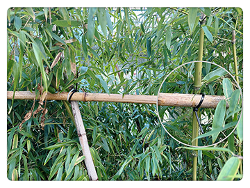Cable Ties for Outdoor Use