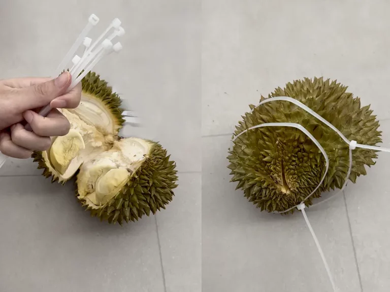 Unexpected-Use-of-Cable-Ties-in-Ripening-Durians-1