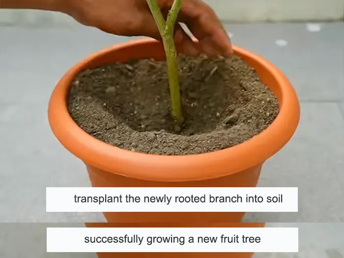 Use of Cable Ties in Agriculture-5