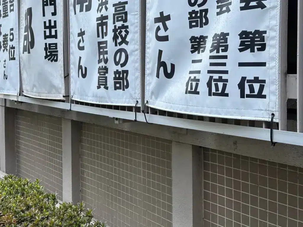 Cable Ties for Outdoor Banners-2