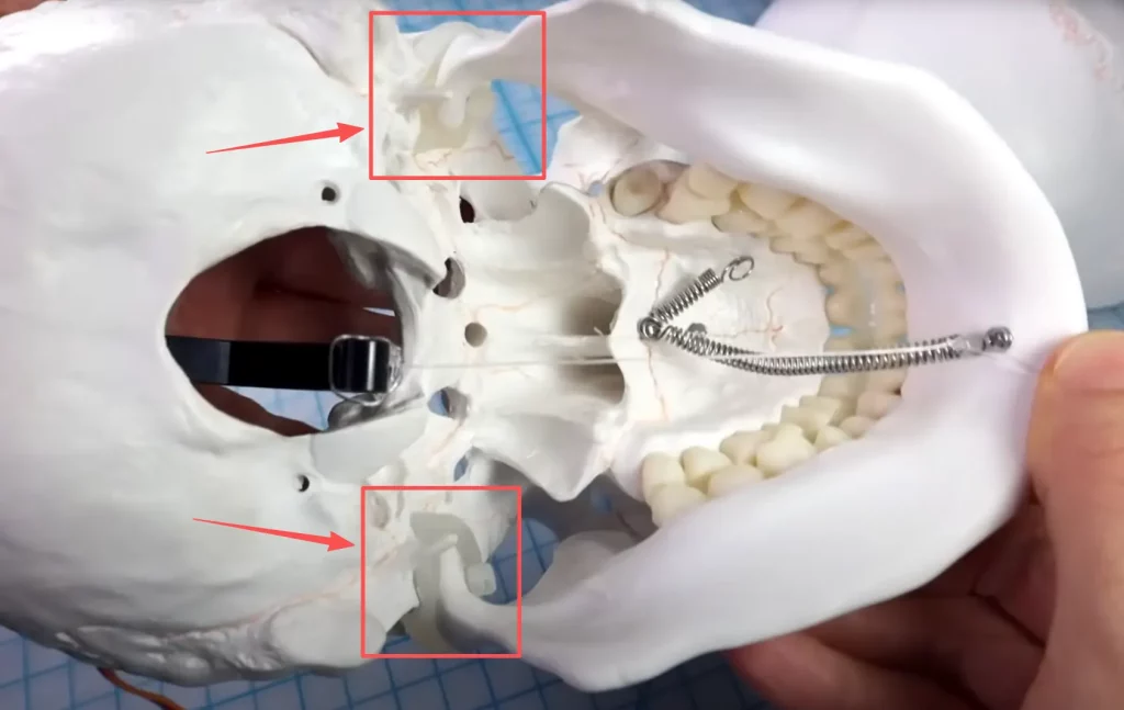 Cable Ties in Halloween Projects