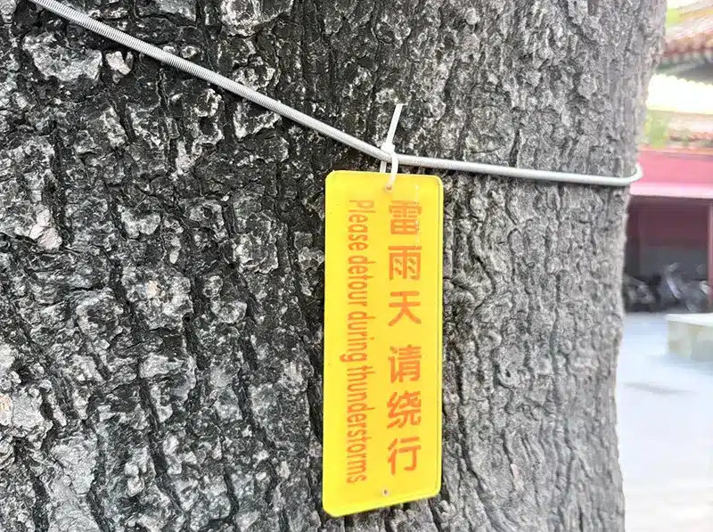 A warning sign attached to a tree near the entrance of Yonghe Temple in Beijing, using an outdoor fastener for long-term outdoor exposure.